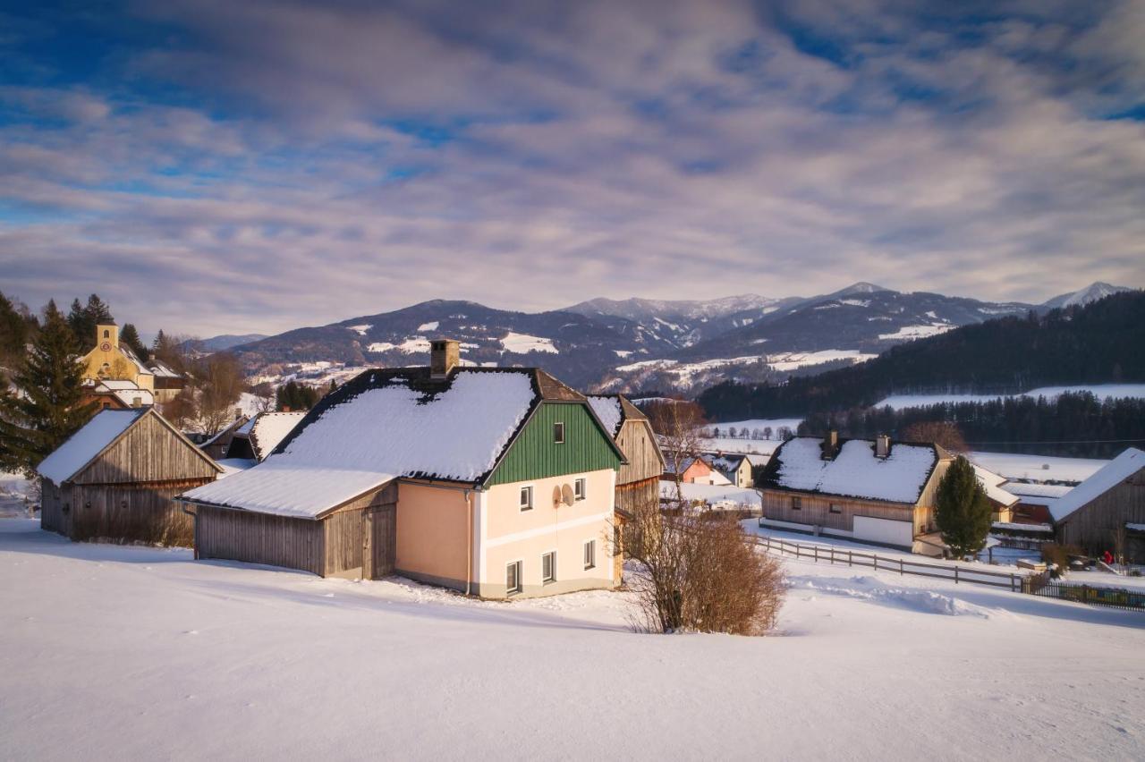 Ferienhaus Schwoellerbauer Sankt Martin am Grimming Екстер'єр фото